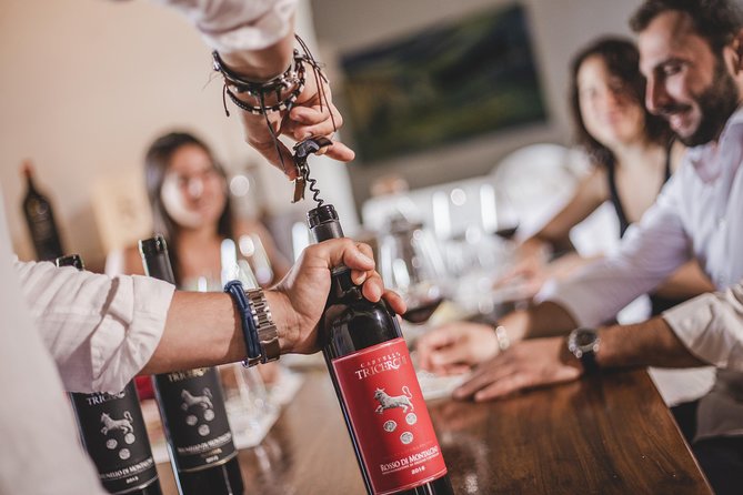 Montalcino: Castle and Vineyards Tour with Tasting - Who Will Enjoy This Most?
