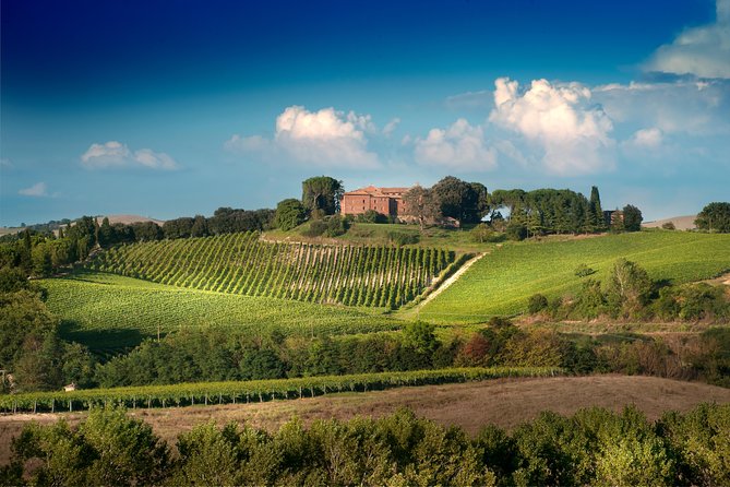 Montalcino: Castle and Vineyards Tour with Tasting - The Chapel and Its Unusual Relic
