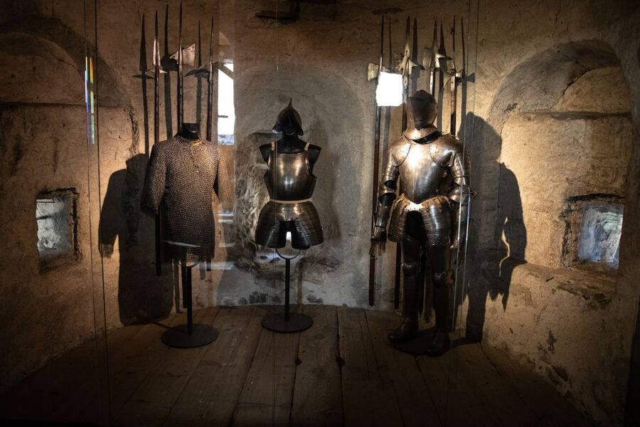 Montreux: Chateau Chillon Entrance Ticket - Practical details for families, bags, and dogs