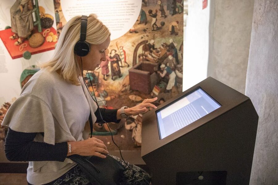 Montreux: Chateau Chillon Entrance Ticket - Exhibitions that change the pace