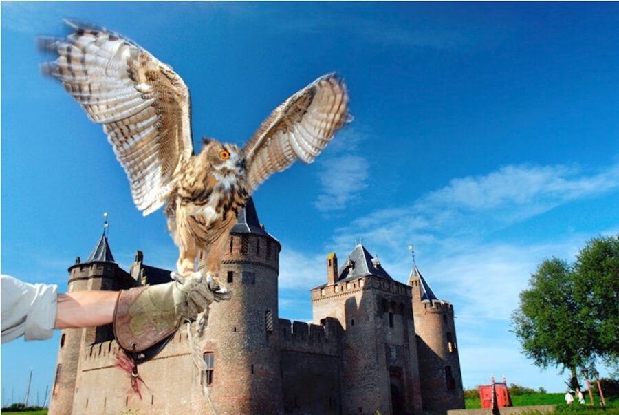 Muiden: Entry Ticket to Muiderslot Castle - Key points to know before you go