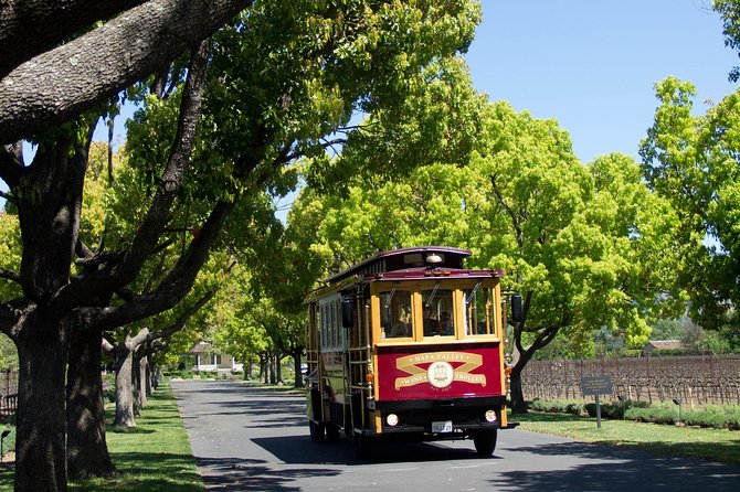 Napa Valley Wine Trolley Castle Tour - Castello di Amorosa: The Big Opening Stop
