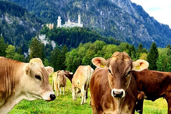 Neuschwanstein Castle Tour with Skip the Line from Hohenschwangau - The horse-drawn carriage ride back to the village