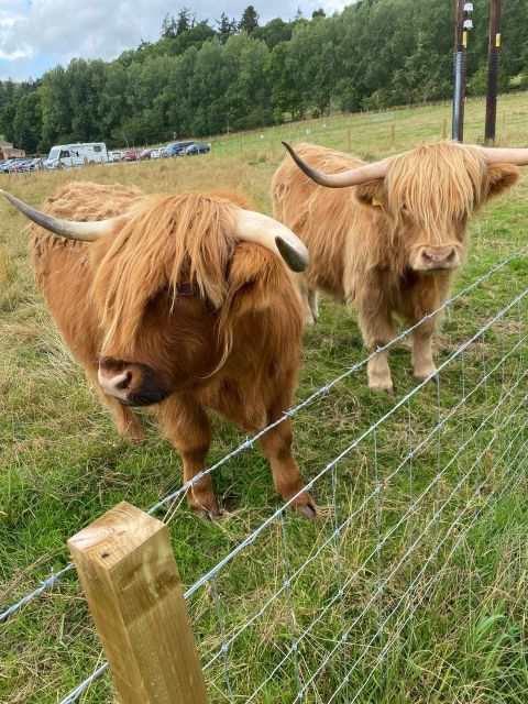 NORTH HIGHLAND TOUR, DUNROBIN CASTLE & MORE FROM INVERGORDON - A big Highland day from Invergordon
