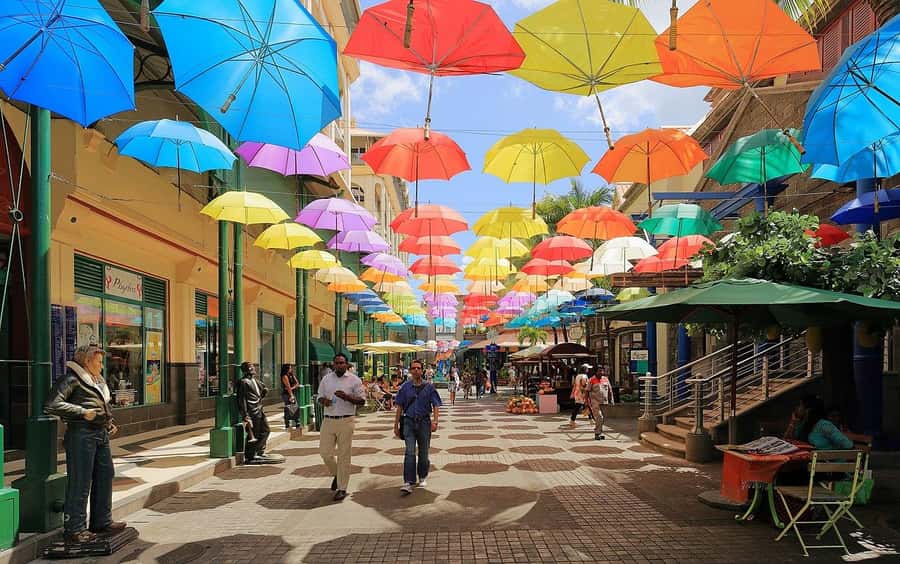 North Tour: Port Louis, Caudan, Citadelle, Botanical Garden - One day that connects city, fort, and garden
