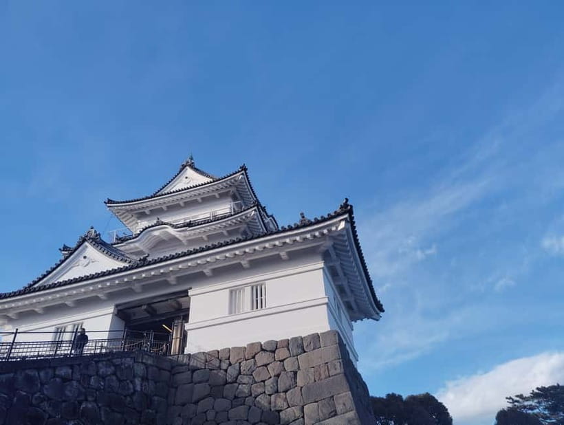 Odawara: Castle Guided Tour with Panoramic Views - The castle’s defenses and famous enemies