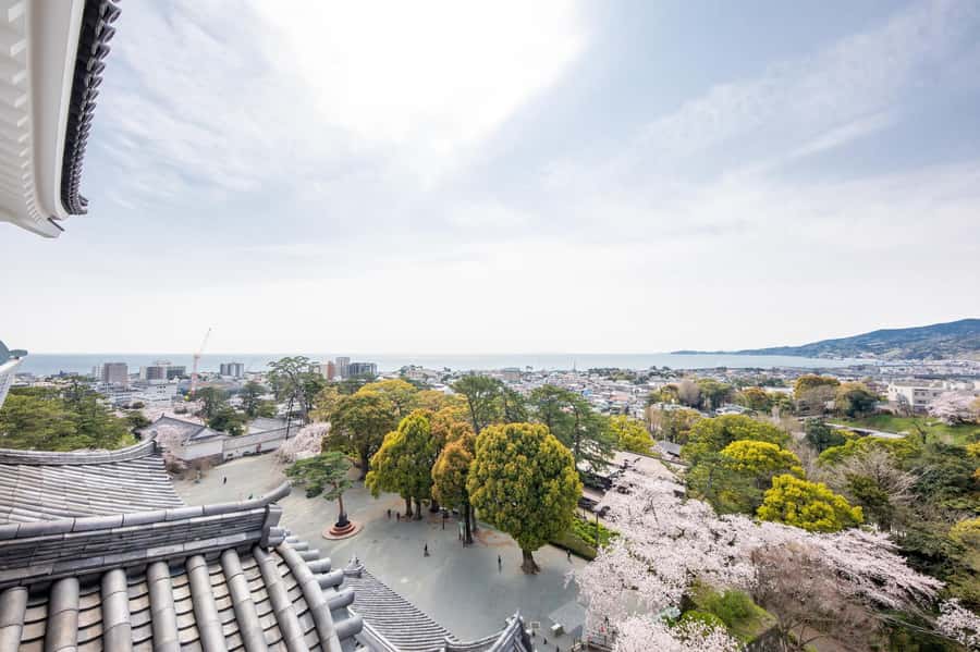 Odawara: Guided Ninja & Samurai Tour of Odawara Castle - Odawara Castle and the Hojo clan