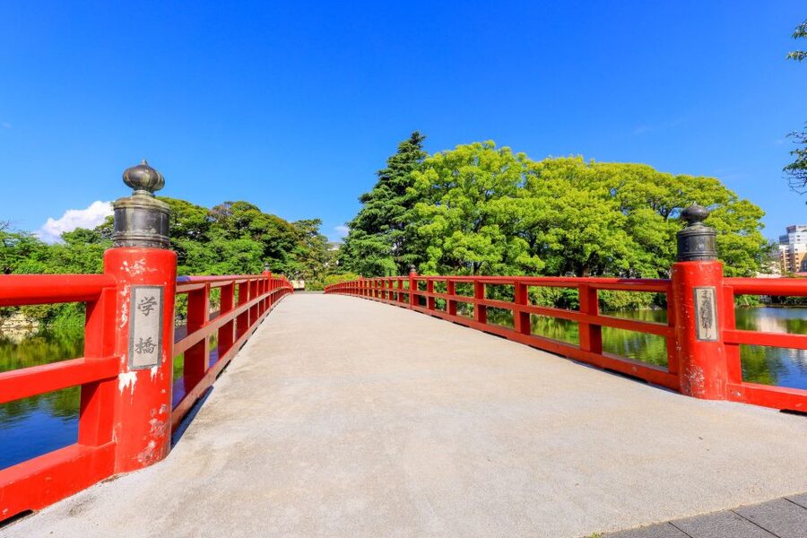 Odawara: Odawara Castle and Town Guided Discovery Tour - Who should book this Odawara walk?
