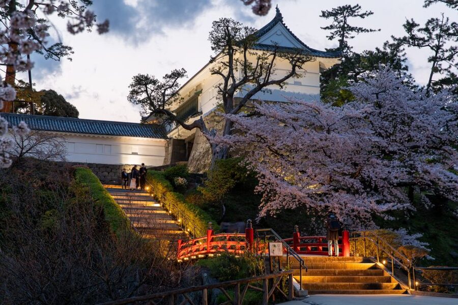 Odawara: Odawara Castle and Town Guided Discovery Tour - Inside the Odawara Castle Main Keep