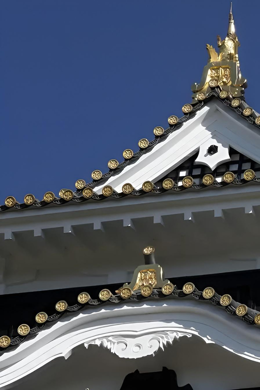 Okayama Castle Admission Ticket - Inside the tower: history in a compact format