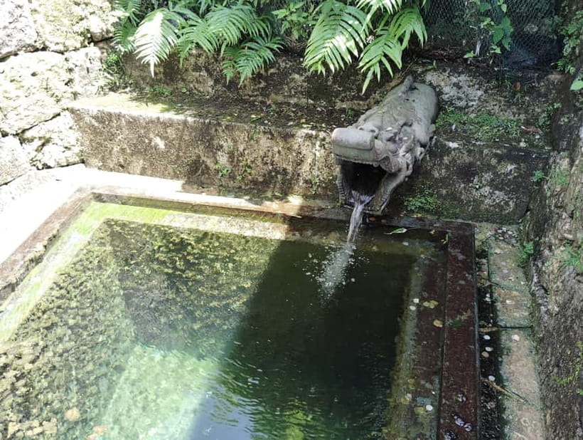 Okinawa: Shurijo Castle & Tamaudun Guided Tour - UNESCO Site - Who will enjoy this Okinawa walk most?