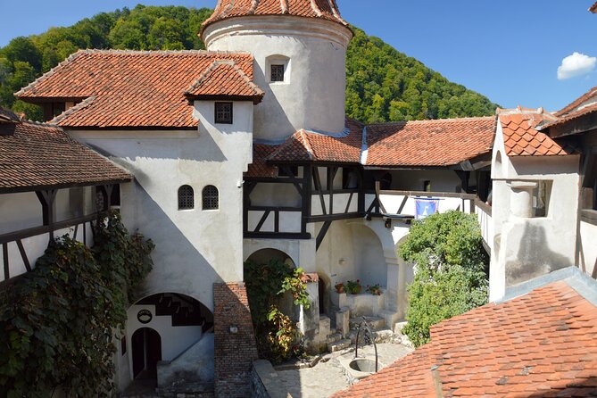 One Day Private Tour to Peles and Dracula Castles & Brasov City - Peles Castle: the day’s finest interior