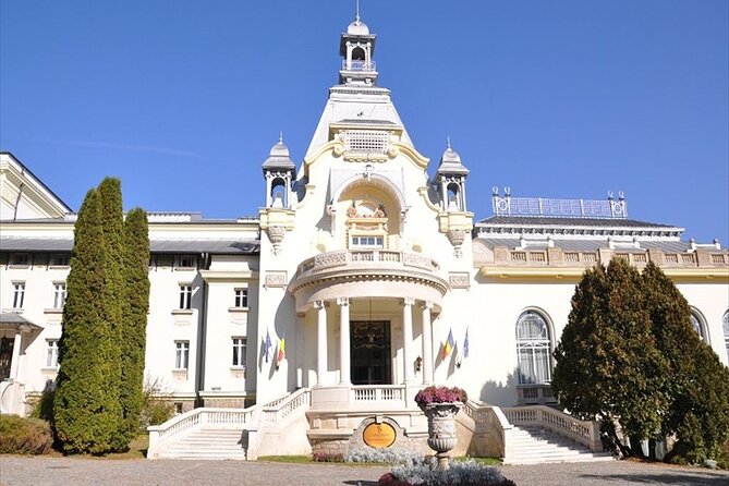 One Day Private Tour to Peles and Dracula Castles & Brasov City - What the $216.25 price really covers
