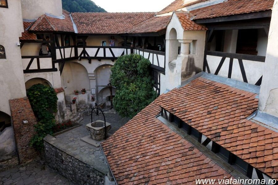 One day trip Bear Sanctuary, Dracula Castle - Timing, comfort, and what to bring