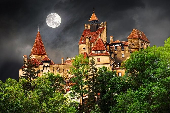 One day trip Bear Sanctuary, Dracula Castle, Rasnov Fortress from Brasov - Why this Brașov day trip works so well