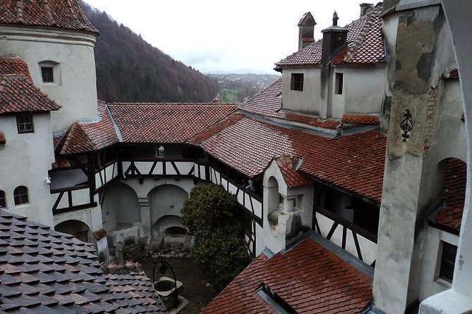 One day trip Bear Sanctuary, Dracula Castle, Rasnov Fortress from Brasov - What the $60.34 price really covers