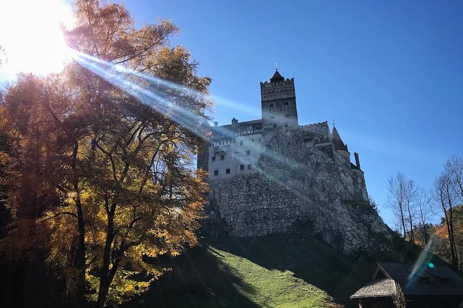 One day trip Bear Sanctuary, Dracula Castle, Rasnov Fortress from Brasov - Walking, weather, and family details
