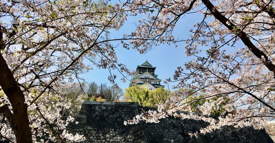 Osaka: Half-Day Private Guided Tour of the Castle - Osaka Castle Tower and the Optional Museum
