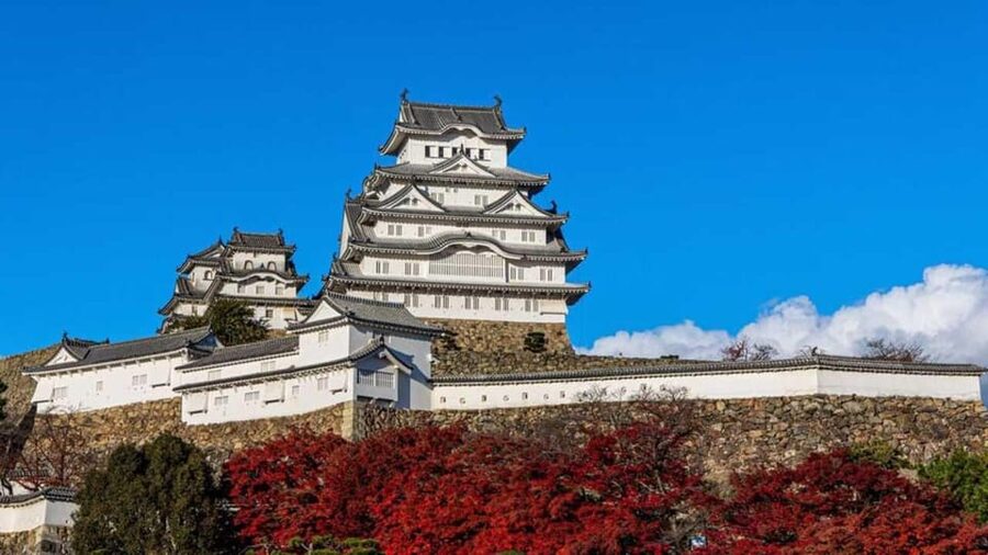 Osaka/kyoto: Himeji Castle, Kobe. Luxury Day Trip with Guide - What the $499 price really means