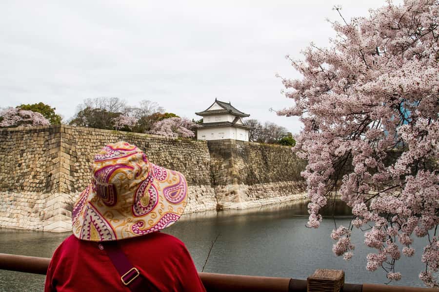 Osaka: Osaka Castle 3 hours Historical Walking Tour - Simple ways to get more from the tour