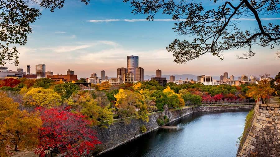 Osaka: Osaka Castle 3 hours Historical Walking Tour - Nishinomaru Garden and the best castle views