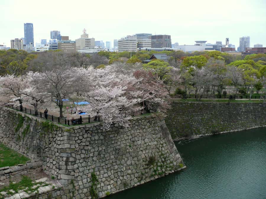 Osaka: Osaka Castle 3 hours Historical Walking Tour - Osaka Castle Park and the city around it