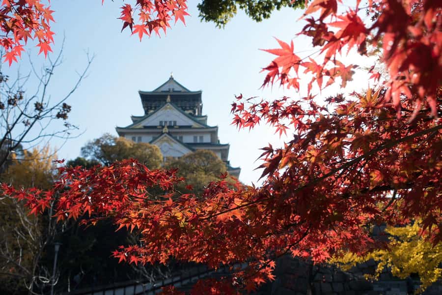 Osaka: Osaka Castle 3 hours Historical Walking Tour - Miraiza Osaka and the military chapter