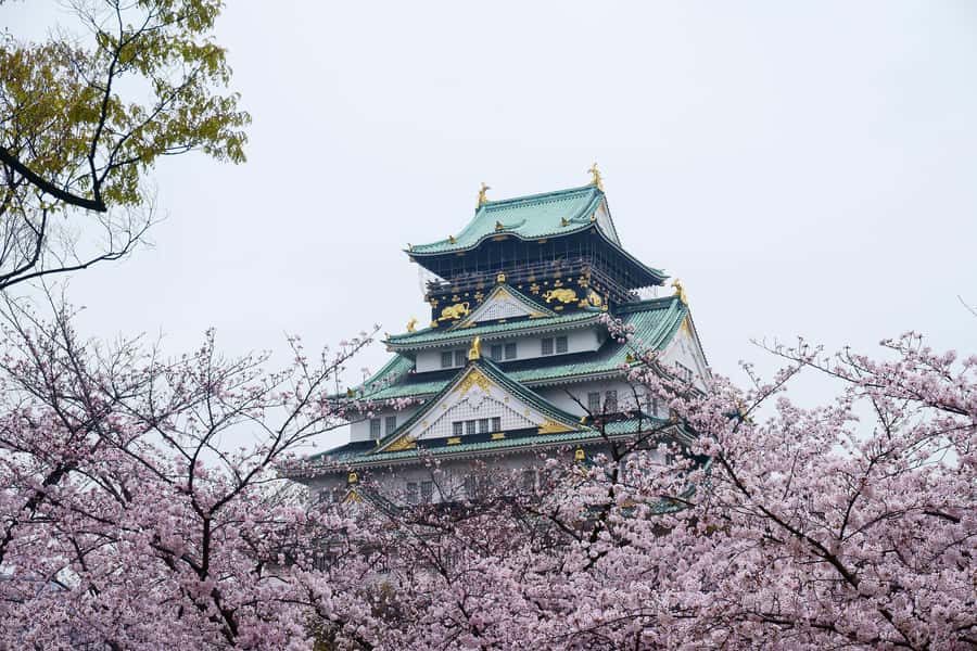Osaka: Osaka Castle 3 hours Historical Walking Tour - Hokoku Shrine and the final stop