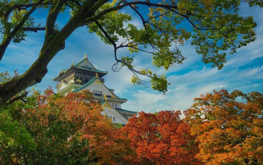 Osaka: Osaka Castle 3 hours Historical Walking Tour - What the $30 price really covers