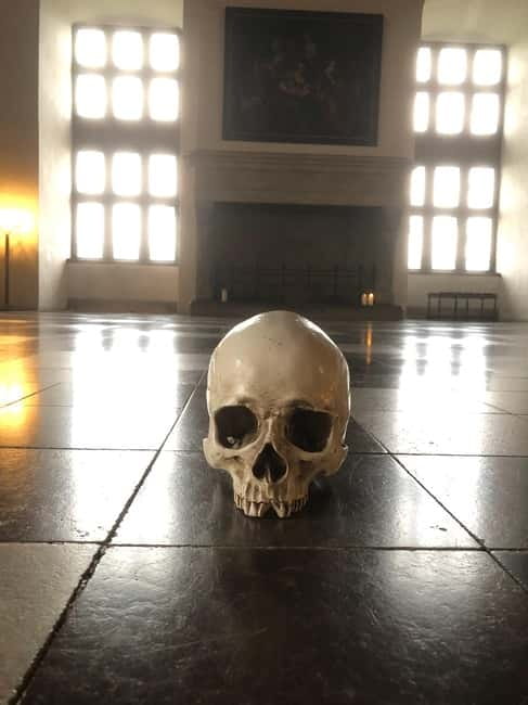 Out of Copenhagen; 2x Castles, Cathedral & (Viking Ships) - Why This Day Trip Works