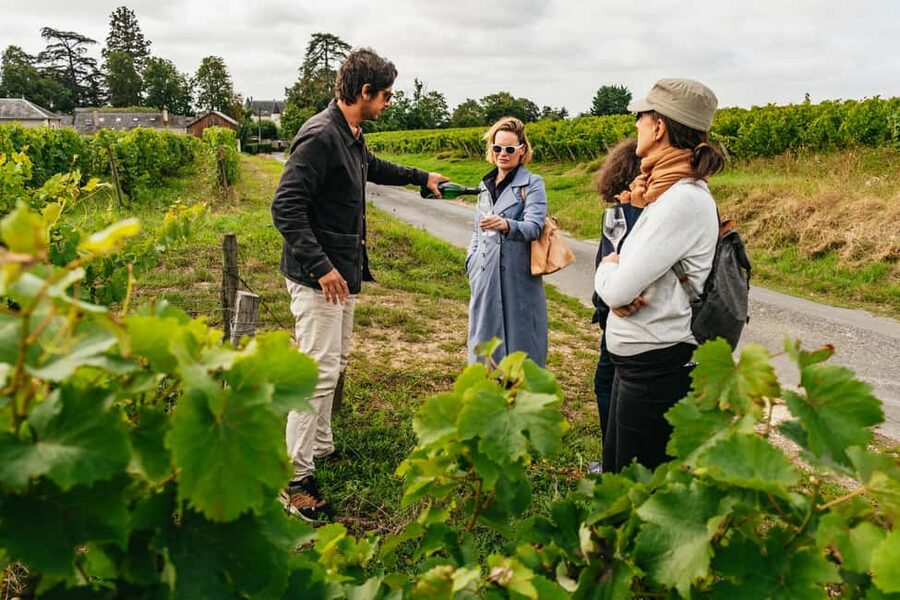 Paris: Loire Valley Chambord Castle, Wine Tasting & Lunch - Exploring Chambord for 90 Minutes