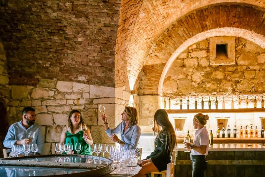 Pastrengo: e-bike tour and wine tasting in the Castle - Cycling through vineyards and olive trees