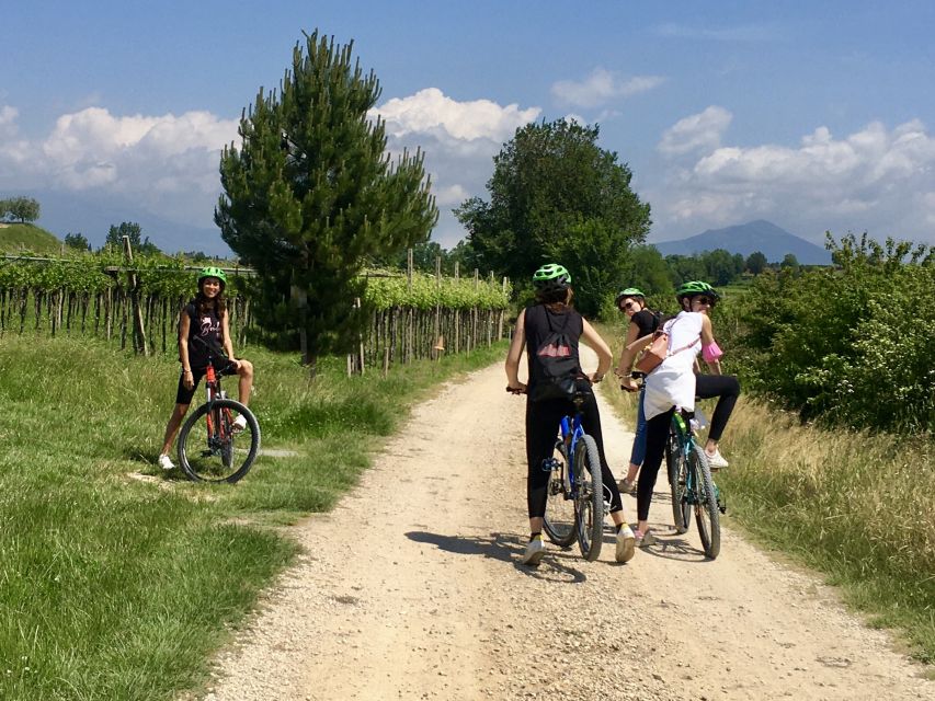 Pastrengo: e-bike tour and wine tasting in the Castle - Three wines and a proper plate of local food
