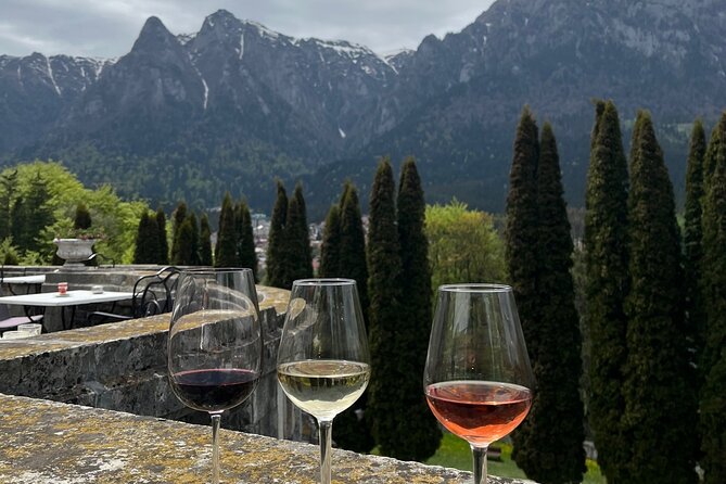 Peles & Cantacuzino Castles: Gourmet Wine & Cultural Day trip - Who will get the most from this tour?