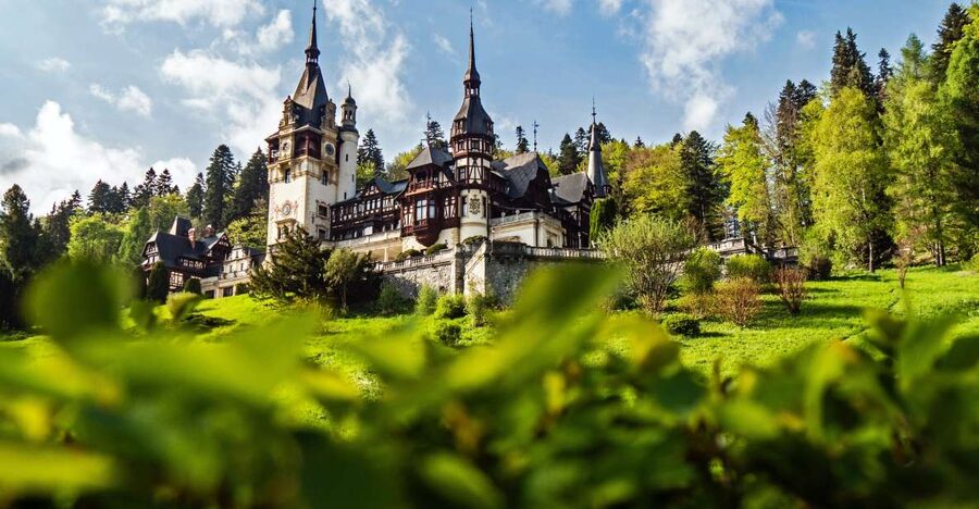 Peles & Cantacuzino Castles: Gourmet Wine & Cultural trip - Key points to know before booking