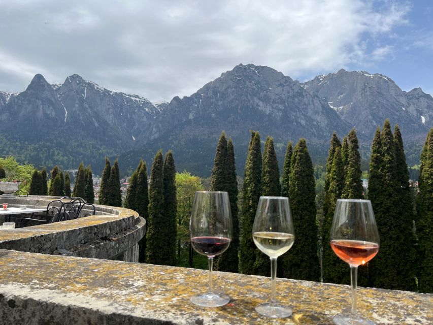 Peles & Cantacuzino Castles: Gourmet Wine & Cultural trip - Should you book the Peleș and Cantacuzino day trip?