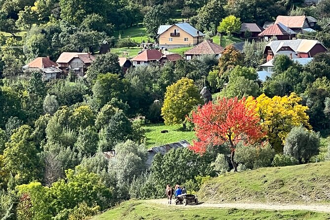 Peles castle and authentic Romanian village experience - day trip - Paltinu Dam and the green lake