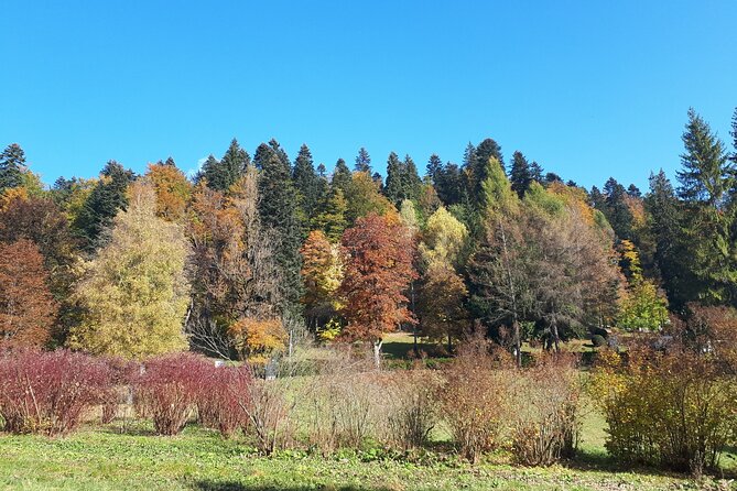Peles Castle and optional Cantacuzino Castle from Brasov - Cota 1400 and the seasonal gondola ride