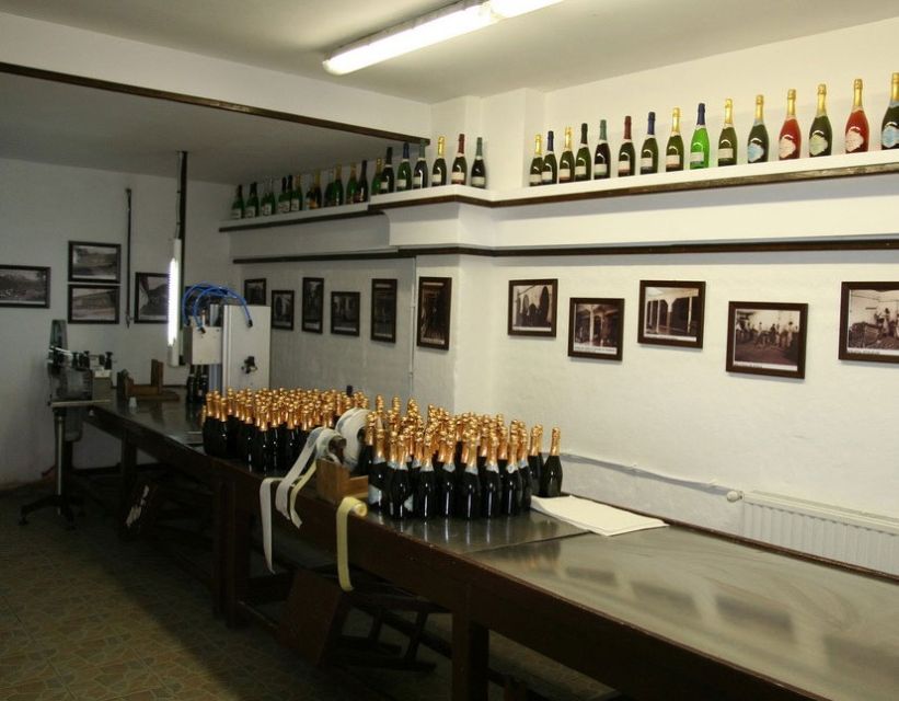 Peles Castle & Wine Tasting Tour - Full-Day from Bucharest - Sinaia Monastery and Its Early Bible
