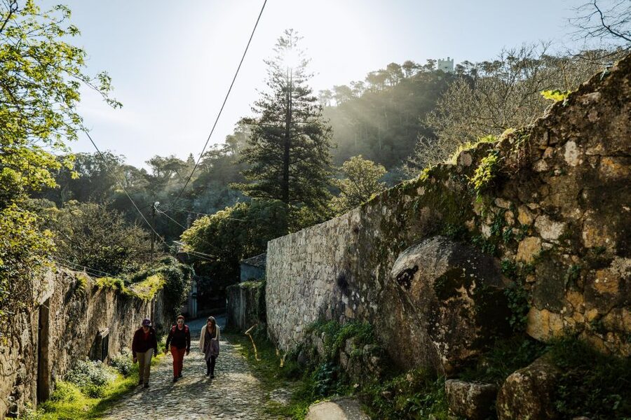 Pena Palace, Moorish Castle,Quinta ad Regaleira:Walking tour - Why this Sintra walking tour works