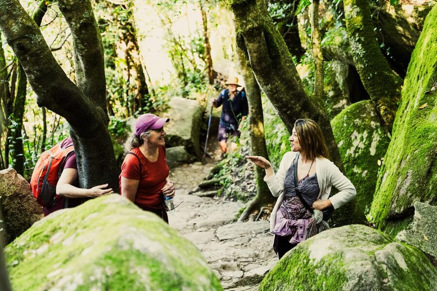 Pena Palace, Moorish Castle,Quinta ad Regaleira:Walking tour - The Vila Sassetti Trail brings you back through the woods