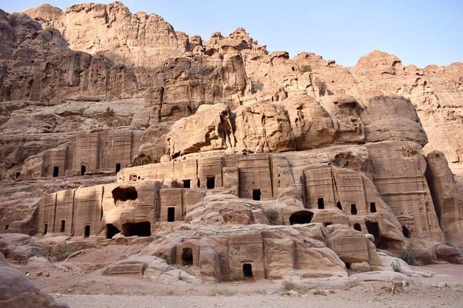 Petra, Little Petra and Shobak Castle - Private Tour From Amman - Who will enjoy this tour most?