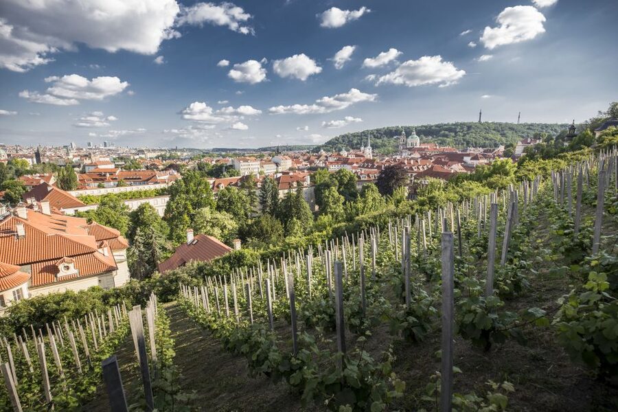 Prague: 3–Hour Castle Grounds Walking Tour and River Cruise - From Týn Church to the Vltava