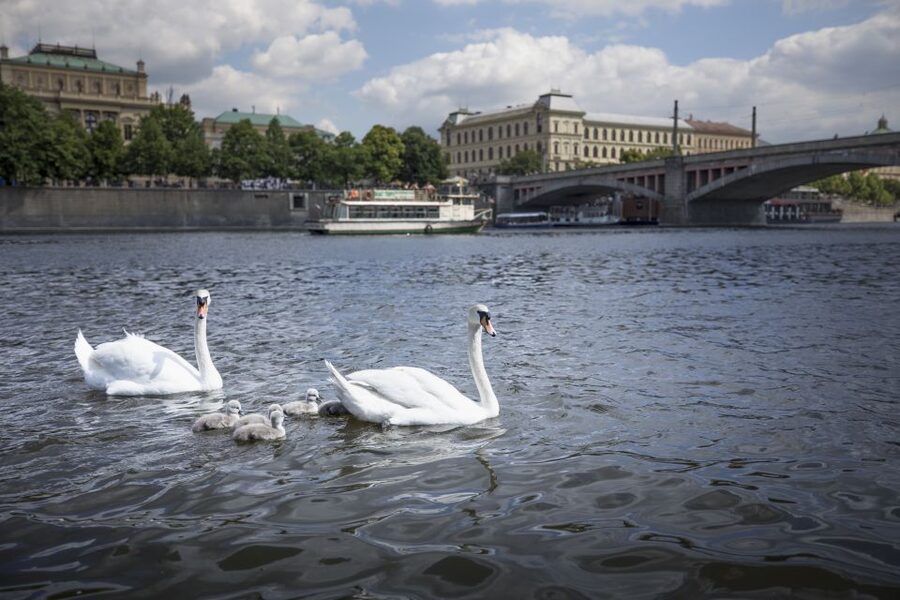 Prague: 3–Hour Castle Grounds Walking Tour and River Cruise - What the $56 price really covers