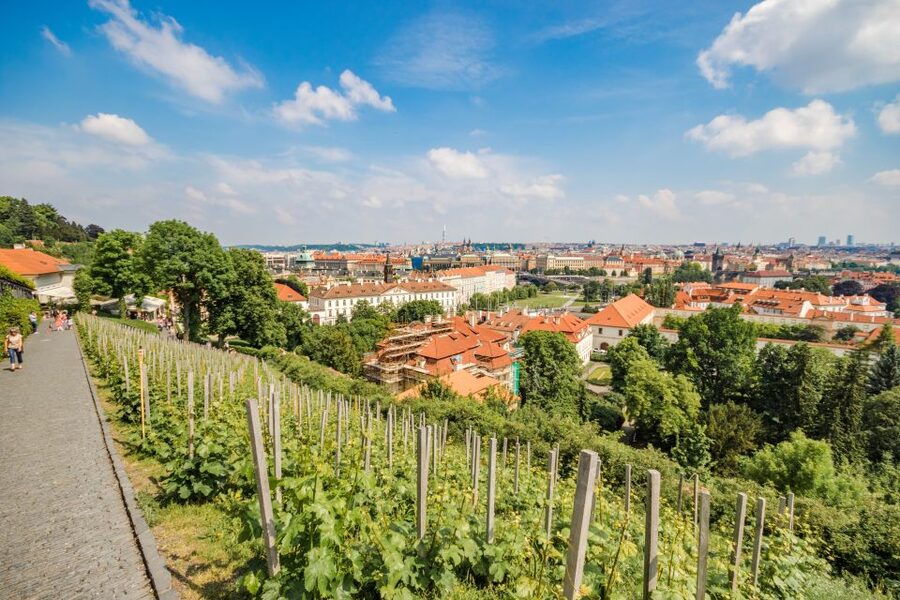 Prague Castle 2.5-Hour Tour Including Admission Ticket - The 10-minute tram ride to Prague Castle