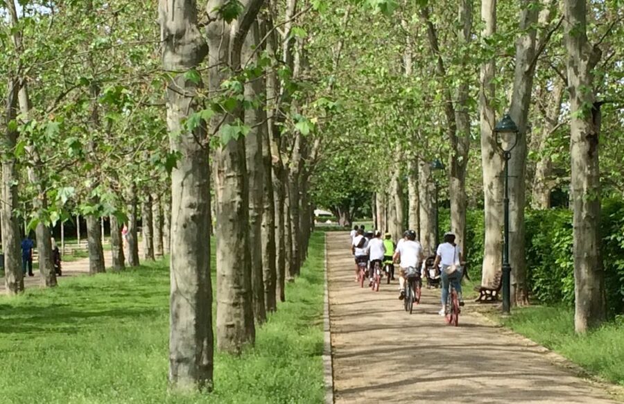 Prague: Stunning Viewpoints, Castle, City & Park E-Bike Tour - Why this route works for a first look at Prague