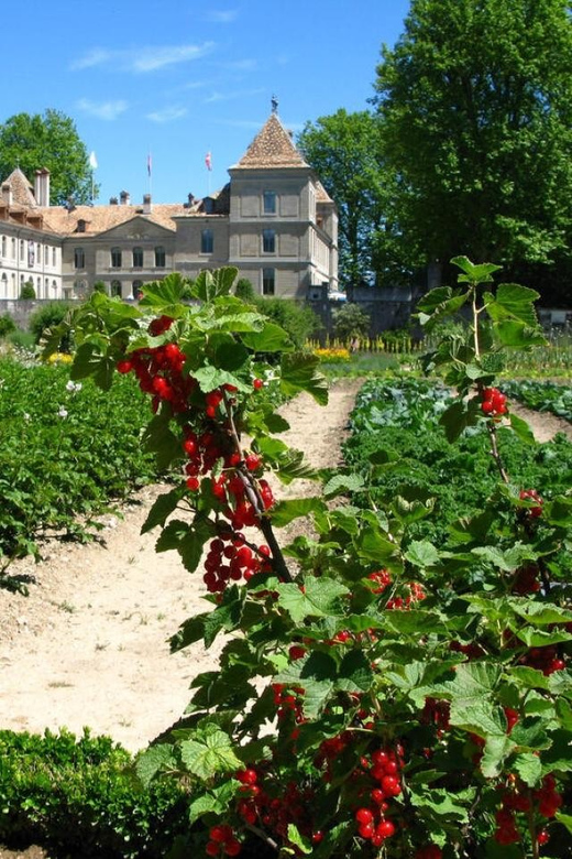 Prangins, Lake Geneva: Château de Prangins Entry Ticket - Switzerland’s largest historical kitchen garden