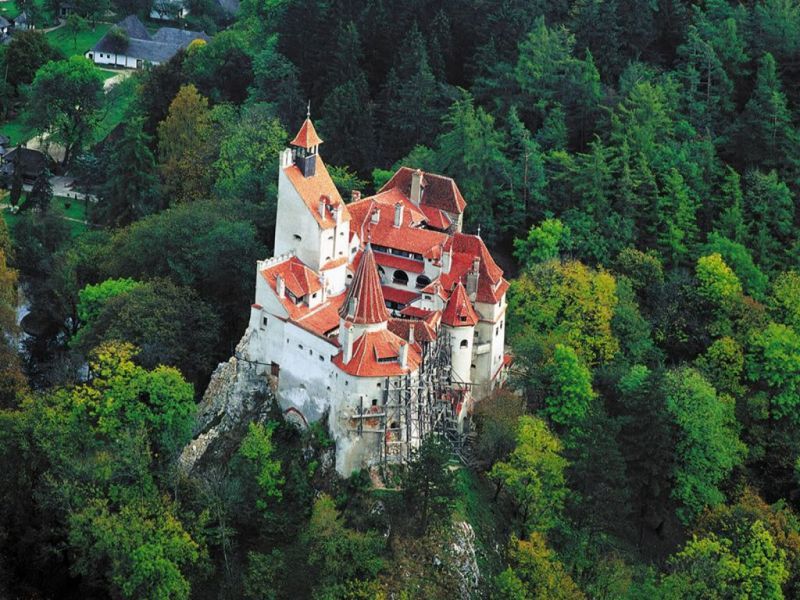 Premium Tour Bran & Peles Castle from Bucharest - The road from Sinaia to Bran