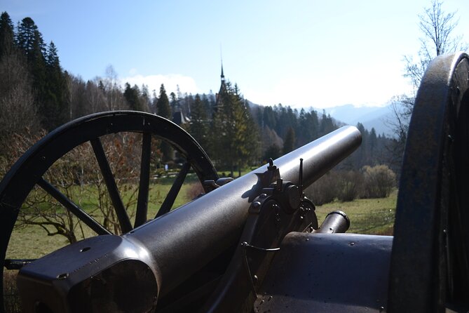 Private Day Tour: Dracula's Castle and Peles Castle - The guide can make or break the experience