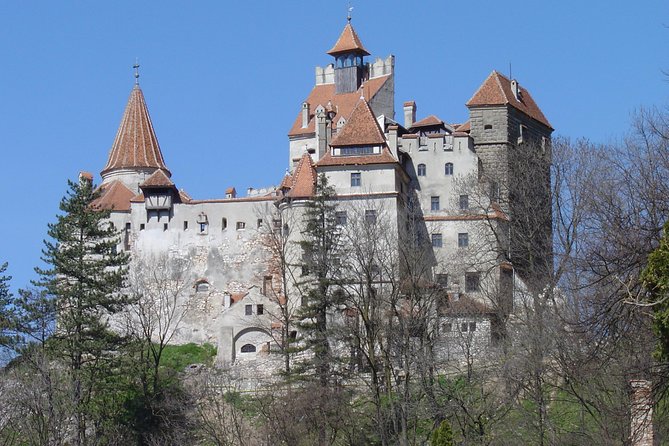 Private Day Tour from Brasov to Rasnov Fortress - Why this private Brasov day trip works